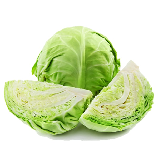 Cabbage