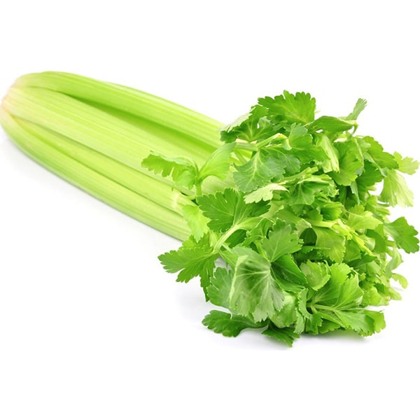 Celery