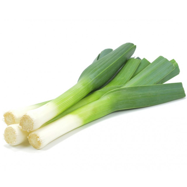 Leek