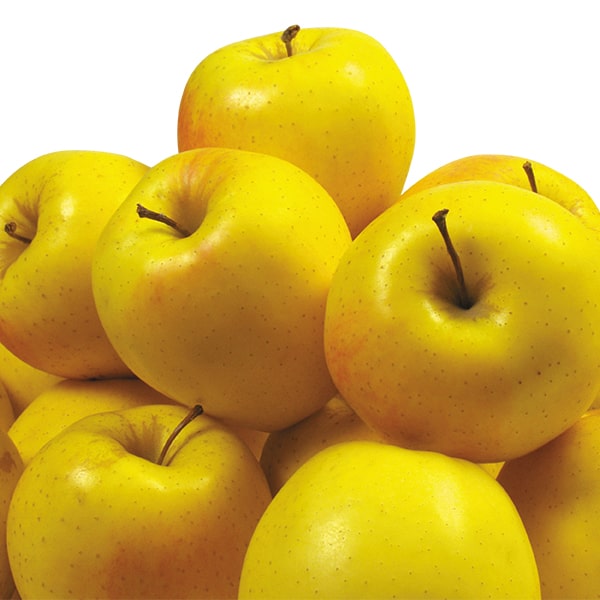 Yellow apple