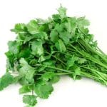 cilantro