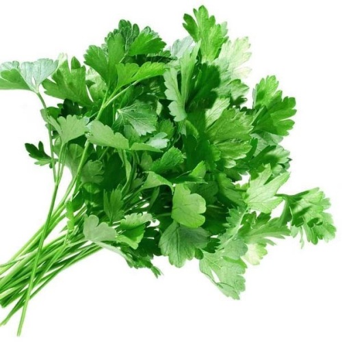 Parsley, петрушка